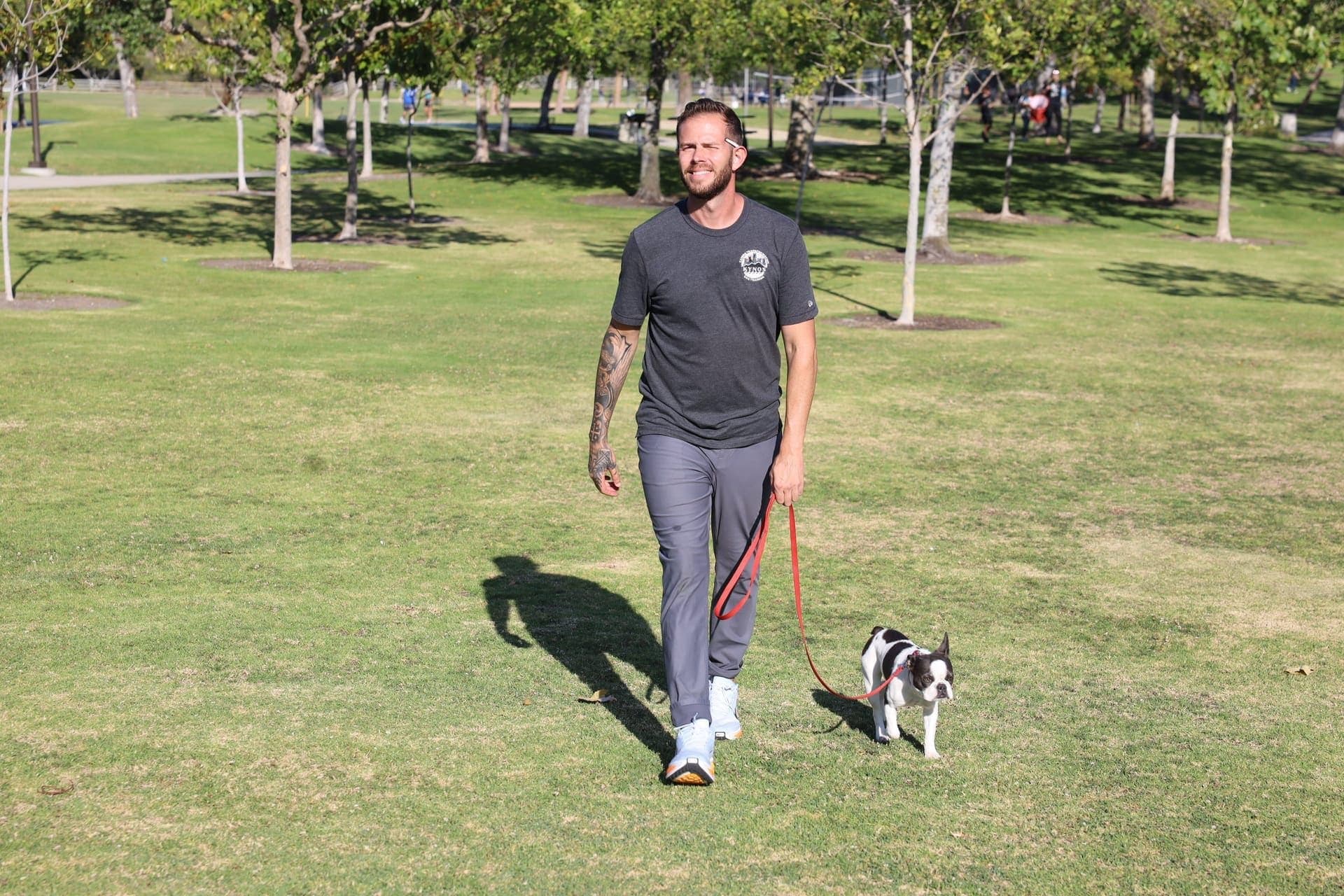 Dog training in Newport Beach, CA