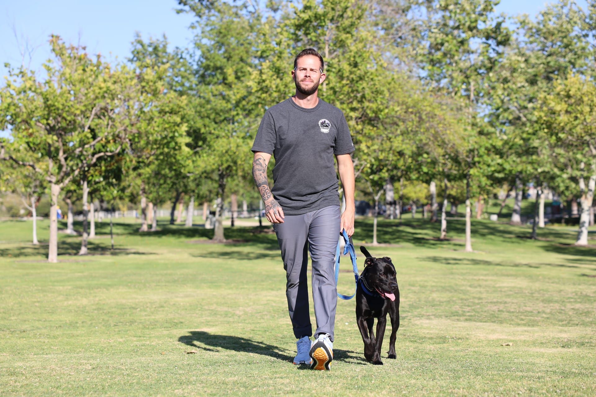 Jake working with a black dog surrounded by trees in Orange County park